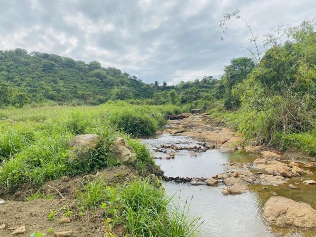 Thấy chỗ này tiềm năng quá giới thiệu mấy anh chị có ý định làm farm nho nhỏ! Hơn 9 sào 14071290