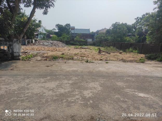Bán đất tại phường Nghi Hương, Cửa Lò, Nghệ An diện tích 248m2 14071775
