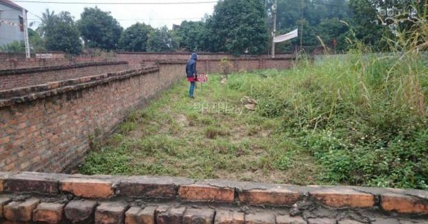 Đầu tư cực tốt, đất tại Vạn Phúc, Thanh Trì 50m2, MT 4.5m, chỉ 1.35 tỉ. Có TL 14072994