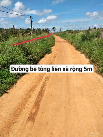 Bán đất tại Xã Quảng Tâm, Tuy Đức, Đắk Nông diện tích 30000m2 14073561