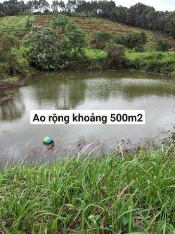 Bán đất tại Xã Quảng Tâm, Tuy Đức, Đắk Nông diện tích 30000m2 14073561