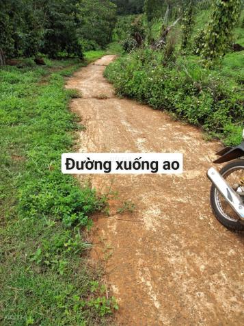 Bán đất tại Xã Quảng Tâm, Tuy Đức, Đắk Nông diện tích 30000m2 14073561