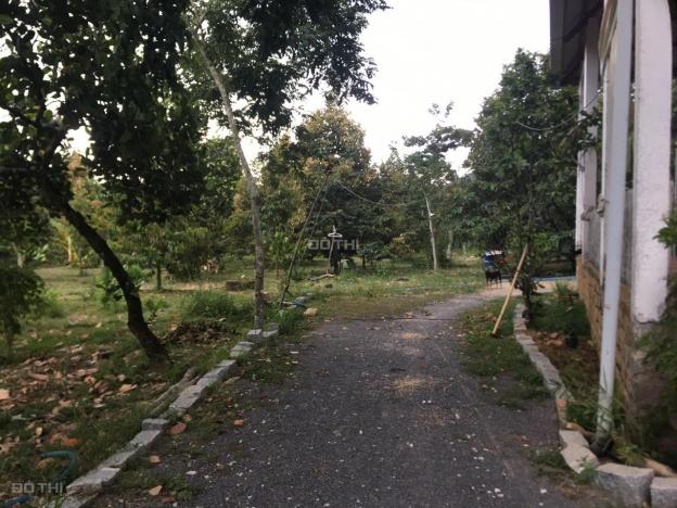 1,2ha Phú An, Tân Phú có sẵn 400m2 ONT trồng sầu riêng, chôm chôm giá đầu tư 14076454