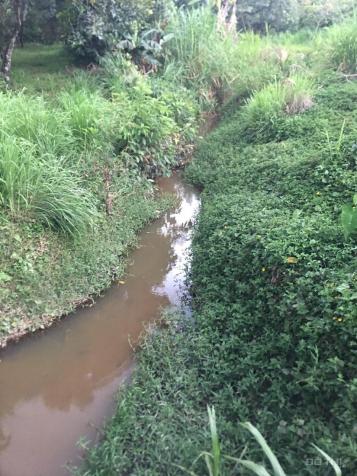 1,2ha Phú An, Tân Phú có sẵn 400m2 ONT trồng sầu riêng, chôm chôm giá đầu tư 14076454