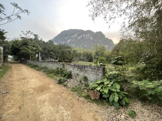 Bán đất tại đường Bưởi, Xã Nam Thượng, Kim Bôi, Hòa Bình diện tích 2100m2 giá 5,65 tỷ 14077763