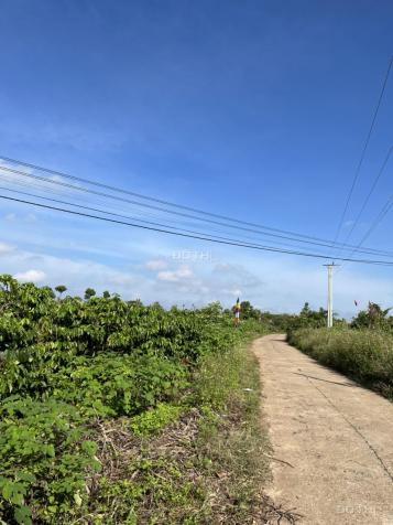 Bán lô đất cực đẹp giá rẻ nhất khu vực Xã Đăk Wil, Cư Jút, Đắk Nông 14079520