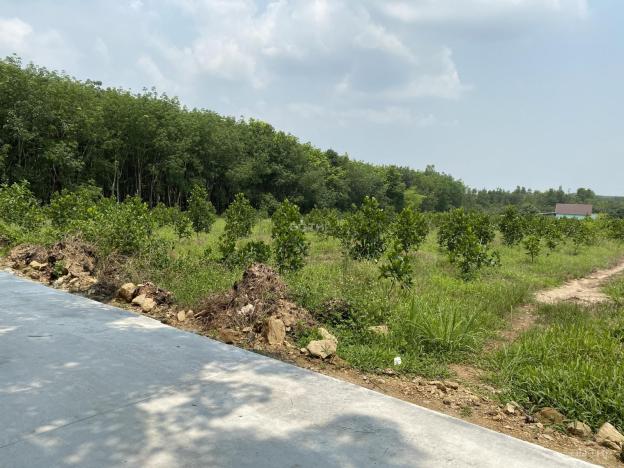 Bán đất Định Quán DT 763 Xã Suối Nho Giảm ngay 500 triệu 14082900