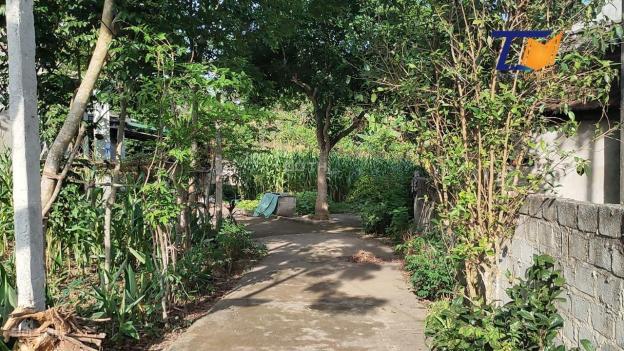Bán đất tại xã Thục Luyện, Thanh Sơn, Phú Thọ diện tích 1075m2 giá siêu rẻ vị trí đẹp LH: A Tiến 14084101