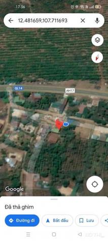 Chính chủ cần bán đất tặng nhà cấp 4 sát QL14 xã Đăk N'Drót - Đắk Mil - Đắk Nông 14086069