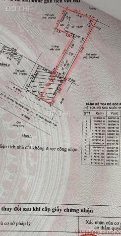 Bán đất tại Xã Hưng Long, Bình Chánh, Hồ Chí Minh diện tích 295.3m2 14087379