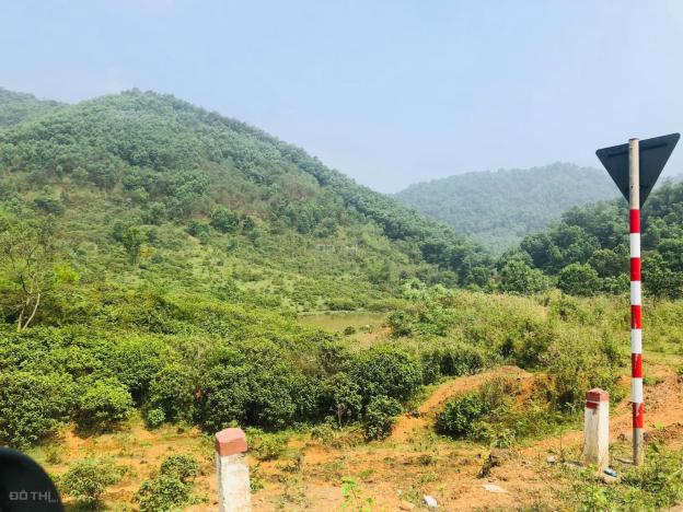 Bán 2 ha giá 7,2 tỷ rừng sản xuất gần cao tốc Hòa Lạc Hòa Bình tại Yên Trung Thạch Thất Hà Nội 14087630