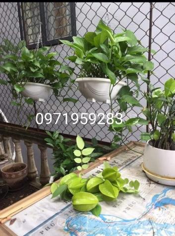 Bán nhà Hoàng Diệu, Hà Đông, Hà Nội diện tích 36m2 giá 4.2 tỷ 14091043