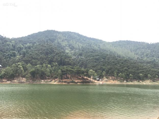 Siêu hiếm khó kiếm! Đất nghỉ dưỡng Hồ Đồng Đò Sóc Sơn, tay chạm nước, 2400m2, 6,5 triệu/m2 14091225