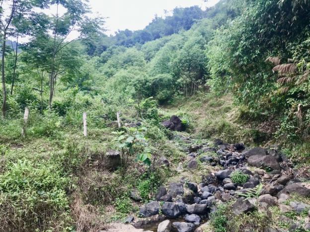 Bán 3650m2 đất RSX tại Tú Sơn - Kim Bôi - Hòa Bình 14093130