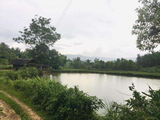 Bán đất tại Xã Thanh Luông, Điện Biên, Điện Biên diện tích 7000m2 14094233