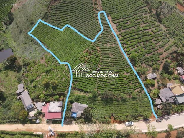 Chính chủ cần bán lô đất Chiêng đi thị trấn Nông Trường 14094633