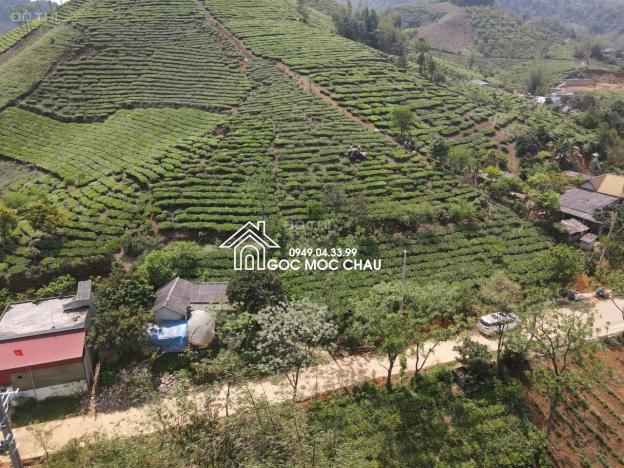 Chính chủ cần bán lô đất Chiêng đi thị trấn Nông Trường 14094633