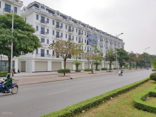 Kiến Hưng Luxury Shophouse Phúc La - Hà Đông 34 tỷ 129.8m2 14094949