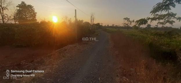 Bán đất tại Xã Ea M'nang, Cư M'gar, Đắk Lắk diện tích 1500m2 14095242