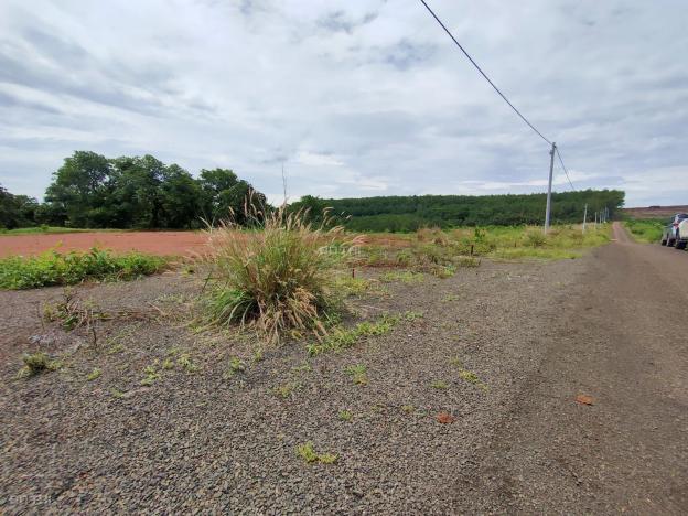 Đất Phú Riềng thổ cư 250m2, chỉ cần trả 400 triệu nhận đất xây nhà 14095308