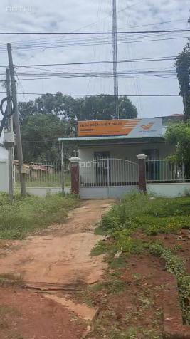 Đất Phú Riềng thổ cư 250m2, chỉ cần trả 400 triệu nhận đất xây nhà 14095308