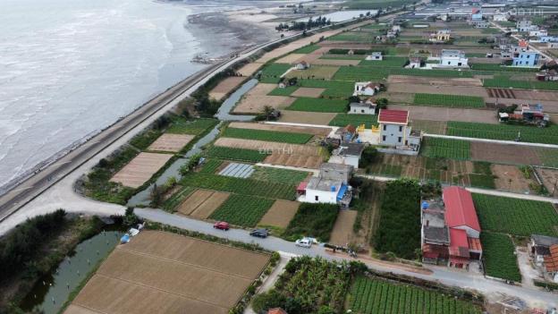 Bán mảnh đất 3000m2 xây biệt thự nghỉ dưỡng ngay biển Liên Phong, Huyện Giao Thủy 14096813