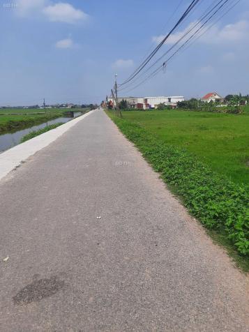 Bán lỗ mảnh đất 93m2 full thổ cư, huyện Giao Thủy, tỉnh Nam Định. Chỉ 750 triệu 14096860