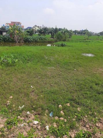 Bán lỗ mảnh đất 93m2 full thổ cư, huyện Giao Thủy, tỉnh Nam Định. Chỉ 750 triệu 14096860
