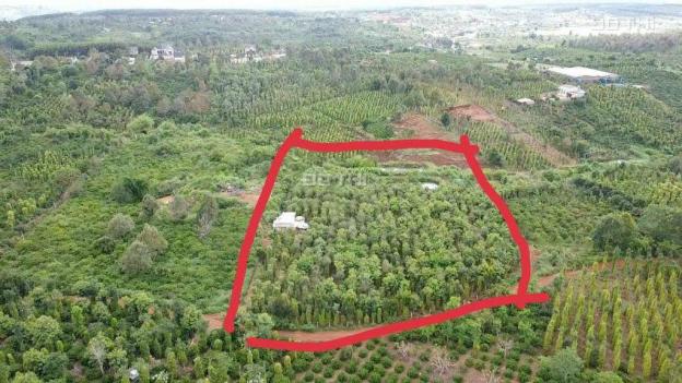Chính chủ cần bán đất tặng nhà ngay tt xã Đắk N'Drót - Đắk Mil - Đắk Nông 14098881