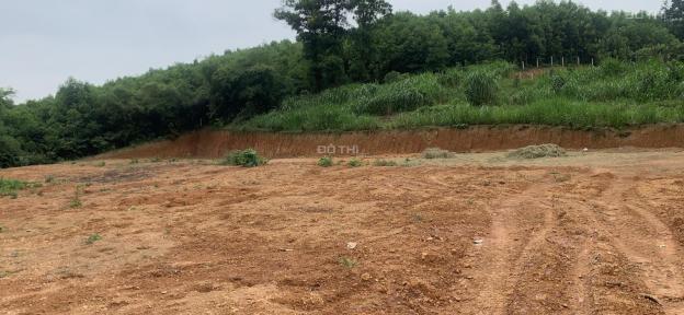 Chính chủ gửi bán lô đất Thanh Sơn, diện tích 2065m2, full thổ cư, 3,5 tỷ, mặt tiền 76m 14104426