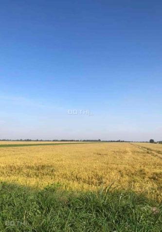 Chính chủ cần bán 28.5 công đất ruộng giá rẻ xã Tà Đảnh - Tri Tôn - An Giang 14105196