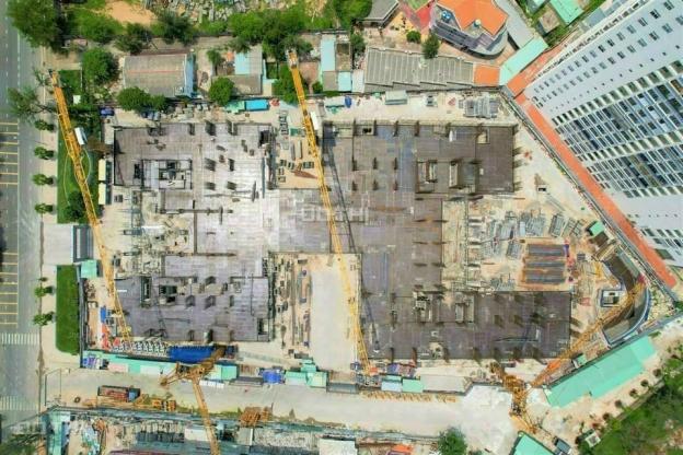 Bán căn hộ biển Vũng Tàu, 1PN chỉ 2 tỷ, 2024 nhận nhà 14106769