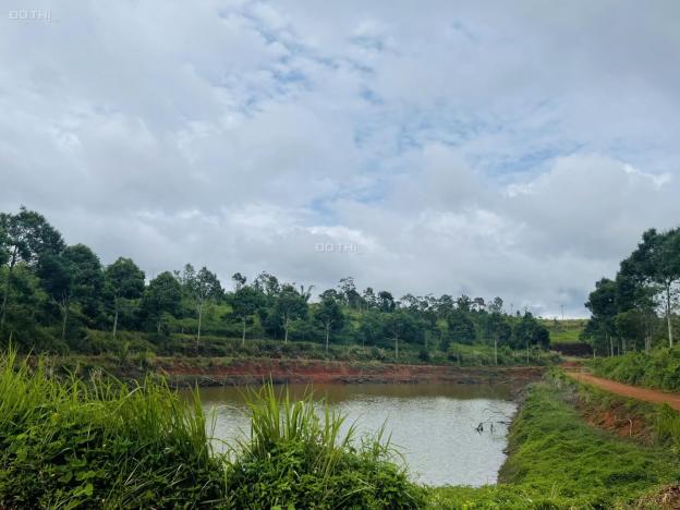 Cần bán khu đất view hồ và rừng thông đẹp tại thôn 10 Nâm N'Jang Đăk Song Đắk Nông 14110225