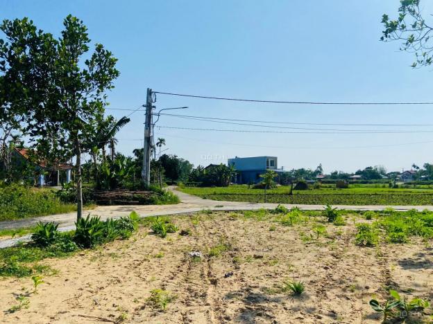 Bán lô đất Điện Hòa view ruộng đồng, diện tích lớn giá siêu mỏng 14114655