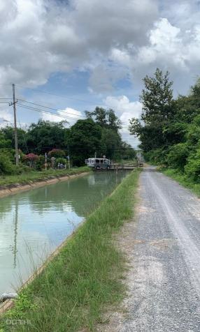 Bán đất Củ Chi, lô đất 2 mặt tiền đường xe tải, diện tích 8.812m2, có 300m2 thổ cư, xã Nhuận Đức 14114863