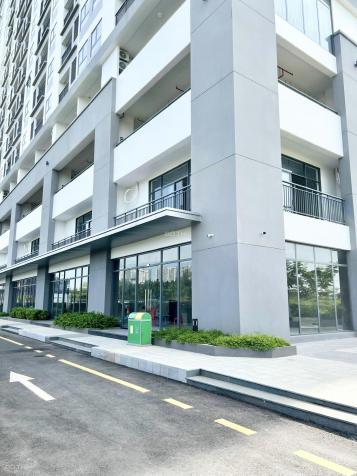 Shophouse Q7 Boulevard khu Phú Mỹ Hưng Quận 7 - Căn góc đẹp nhất 216m2 14119949