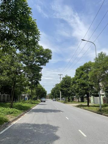 Bán đất 241m2 - thị trấn Quang Minh - Mê Linh - ngõ ô tô tải vào tận đất 14124757