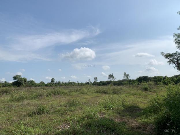 Chính chủ cần bán gấp 2 mảnh đất liền kề tại Bảo Quang, Long Khánh 14126165