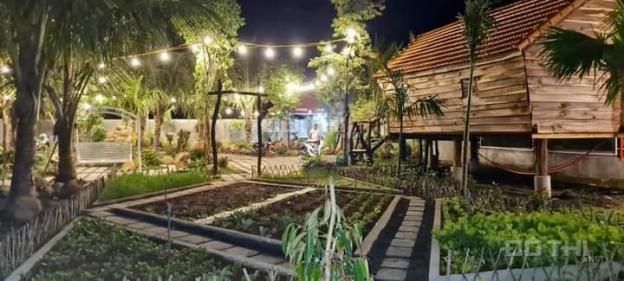 Một siêu phẩm nhà vườn ngay trung tâm thành phố Buôn Ma Thuột, Đắk Lắk 14133747