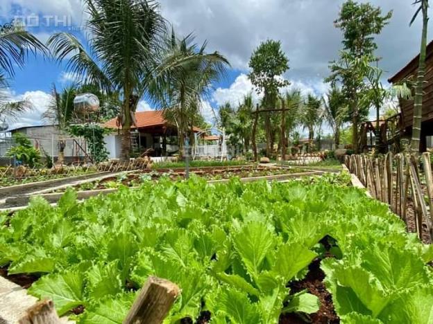 Một siêu phẩm nhà vườn ngay trung tâm thành phố Buôn Ma Thuột, Đắk Lắk 14133747