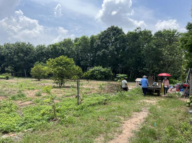 Bán đất 1/748 xã An Điền Bến Cát BD. Ngay cụm công nghiệp DT 10x22m TC 100m2 giá đầu tư 14134799