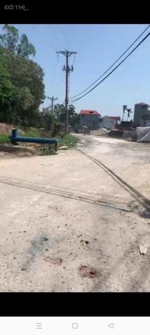 Chính chủ em cần bán gấp gần 50m2 tại Bình Minh Thanh Oai Hà Nội 14136065