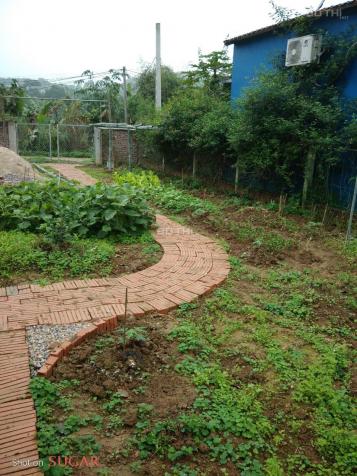 Bán lô đất tặng khu vườn sẵn hoa tươi quả ngọt cùng ngôi nhà nhỏ nhỏ tại Yên Bình, giá 5. X tỷ 14137477