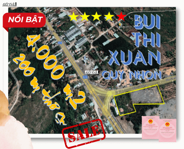 Bán đất Bùi Thị Xuân Quy Nhơn làm khu nghỉ dưỡng - trạm dừng chân cơm Bắc Nam 14137669