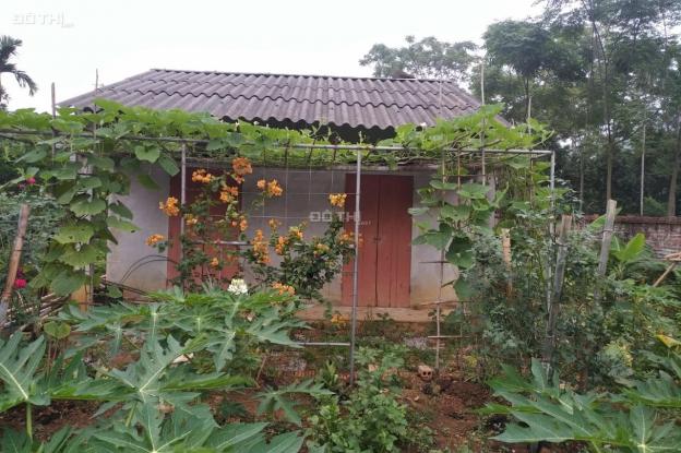 Bán lô đất DT 792.3m2 tặng khu vườn sẵn hoa tươi quả ngọt cùng ngôi nhà nhỏ nhỏ tại Yên Bình 14138362