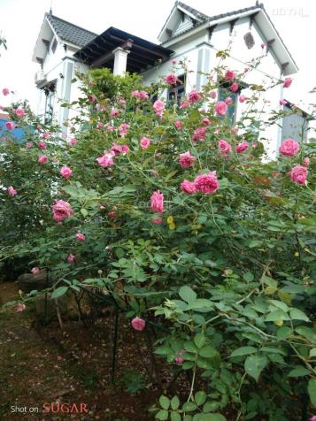 Bán lô đất DT 792.3m2 tặng khu vườn sẵn hoa tươi quả ngọt cùng ngôi nhà nhỏ nhỏ tại Yên Bình 14138362