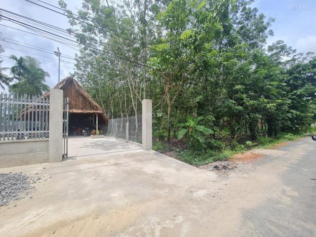 Chính chủ cần bán đất MT giá rẻ gần QL22 - Gò Dầu - Tây Ninh 14139644