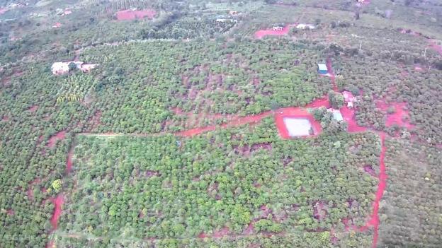 Cần bán hơn 8ha đất có hơn 140m mặt tiền đường nhự, trồng cà phê và sầu riêng tại Đắk Lắk 14140049