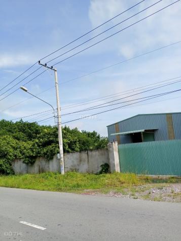 Bán kho xưởng tại xã Long Nguyên, Huyện Bàu Bàng, Bình Dương diện tích 5000 mét vuông 14142554
