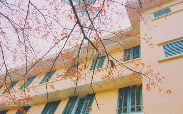 Bán chuyển nhượng trường học liên cấp - Yên Thọ, Đông Triều, Quảng Ninh 14147911
